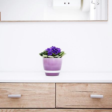 Apartment Anica Trogir Ngoại thất bức ảnh